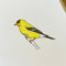 American Goldfinch Green Bird Card