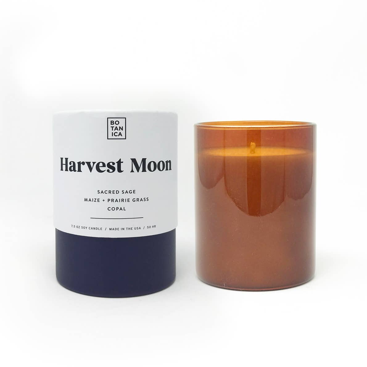 Harvest Moon Medium Candle | 7.5oz