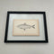 Framed Fish Original Plates