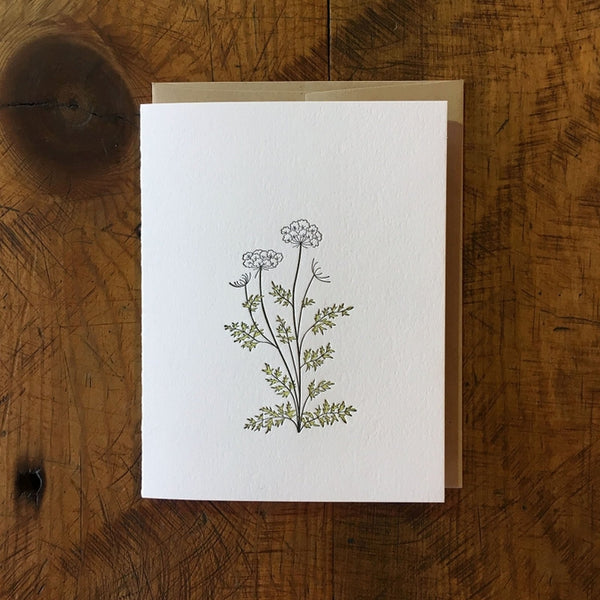 Queen Anne's Lace Wildflower Green Bird Card