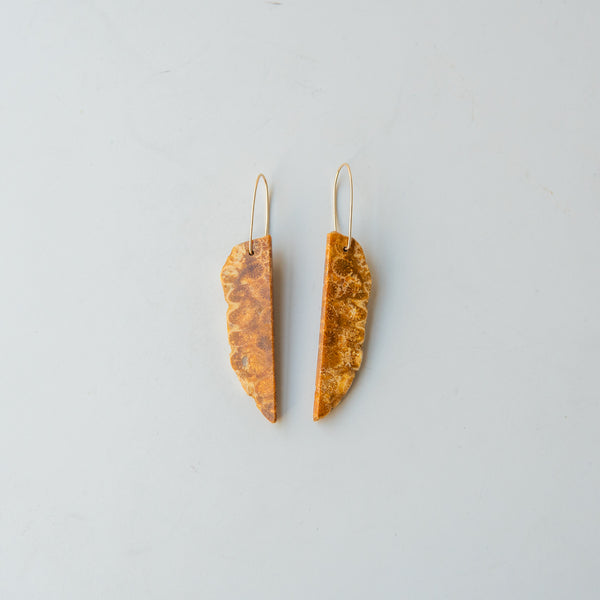 Fossilized Coral Slice Stone Earrings