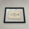 Framed Fish Original Plates