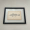 Framed Fish Original Plates