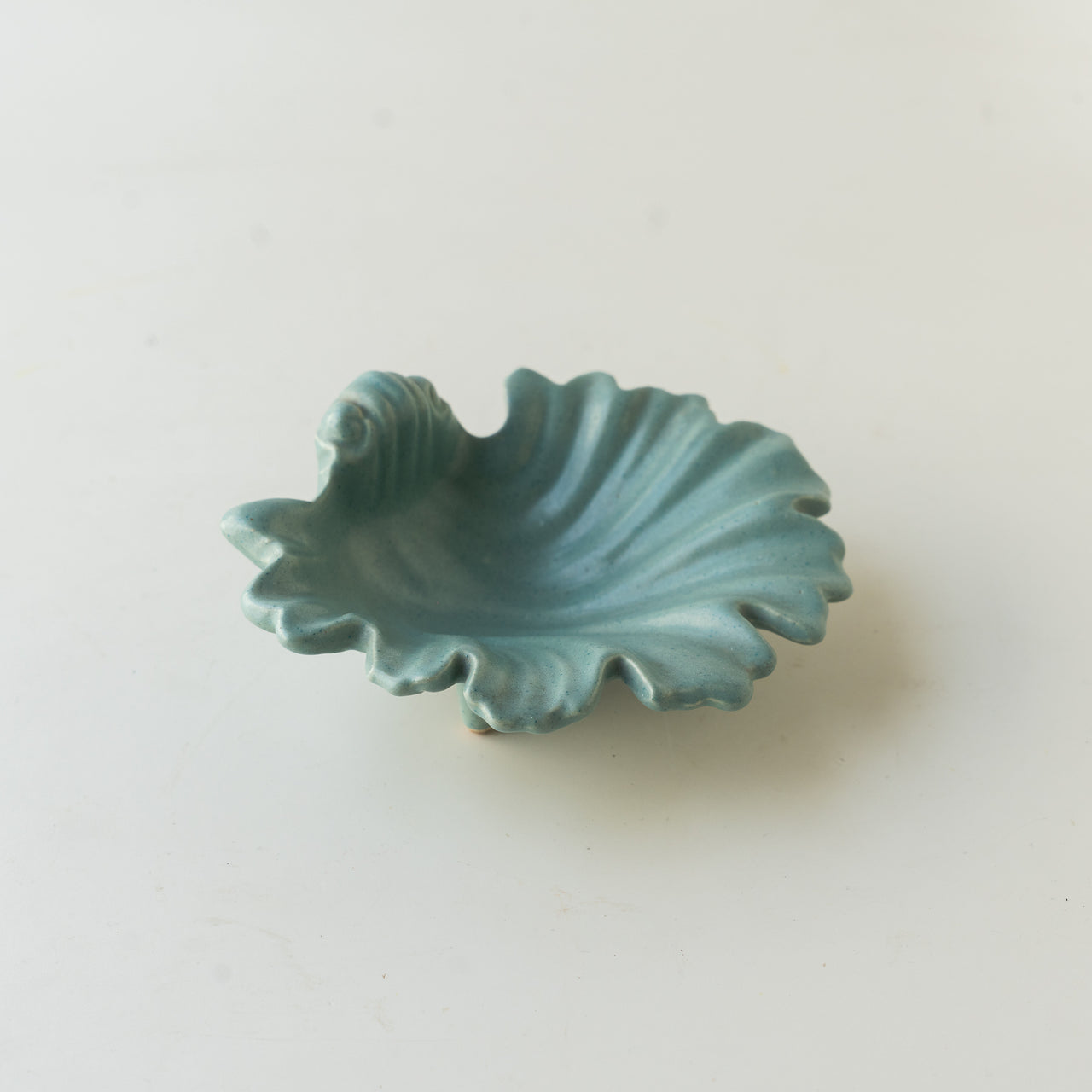 Shell Soap Dish